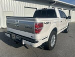 2010 Ford F-150 XL